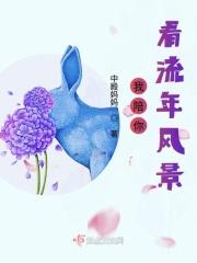 陪你去看流星雨这是什么歌