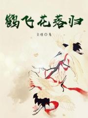 鹤归空山什么意思