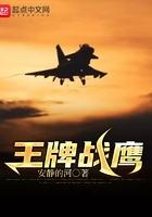 王牌战鹰TXT