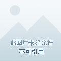 斗罗之尘心孙女