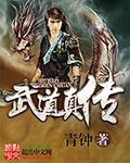 武道真意等级划分