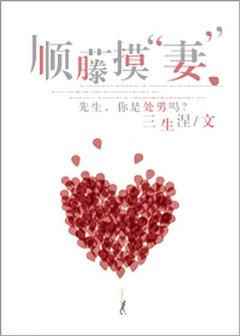 顺藤摸妻txt在线