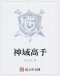 神域怎么样