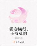 霸道王爷打小妾
