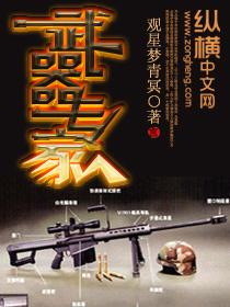 武器专家TXT奇书网