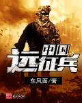 中国远征兵全文