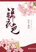 锦衣卫的男主什么身份