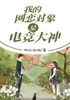 我的网恋对象是男的