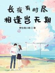 长夜有时尽